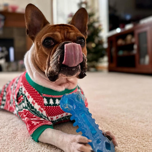 Nylabone Moderate Chill & Chew Toy 1ea