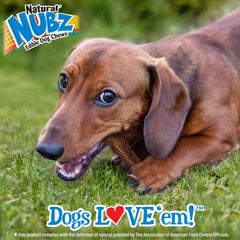 Nylabone Nubz Meaty Center Natural Long Lasting Edible Dog Chews Beef 1ea/SMall - Up To 30 lb