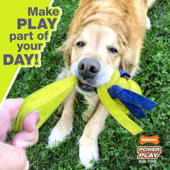 Nylabone Power Play Dog Basketball BBall Gripz 1ea/Large/Giant Up To 50 Lbs. 6.5 in 1 ct