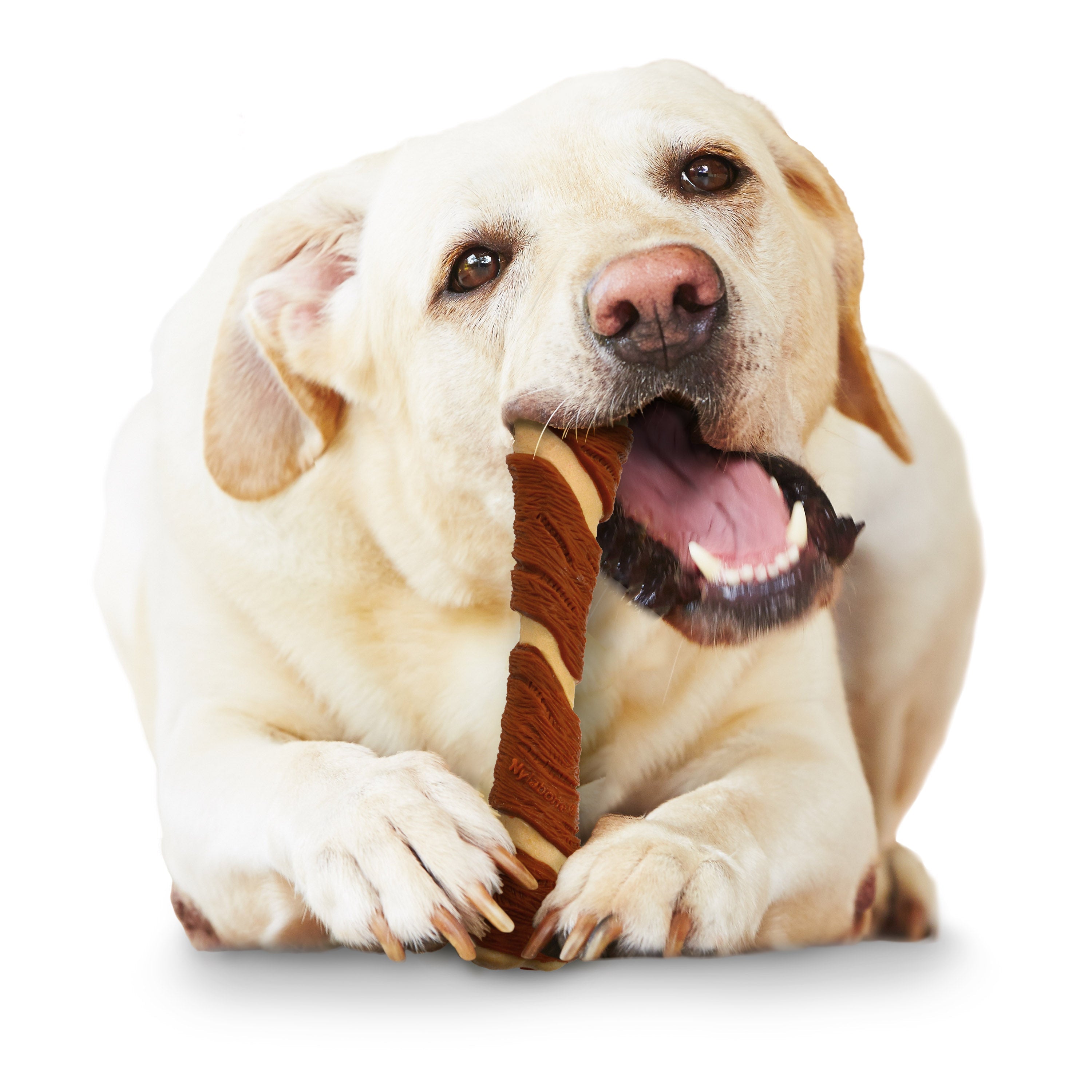 Nylabone Power Chew Pork Hide Alternative Dog Chew Toy Bacon & Peanut Butter 1ea/Large/Giant - Up To 50 lb