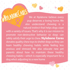 Nylabone Breast Cancer Awareness Pink Power Chew Textured Dog Toy Chicken 1ea/XL/Souper - 50+ lb