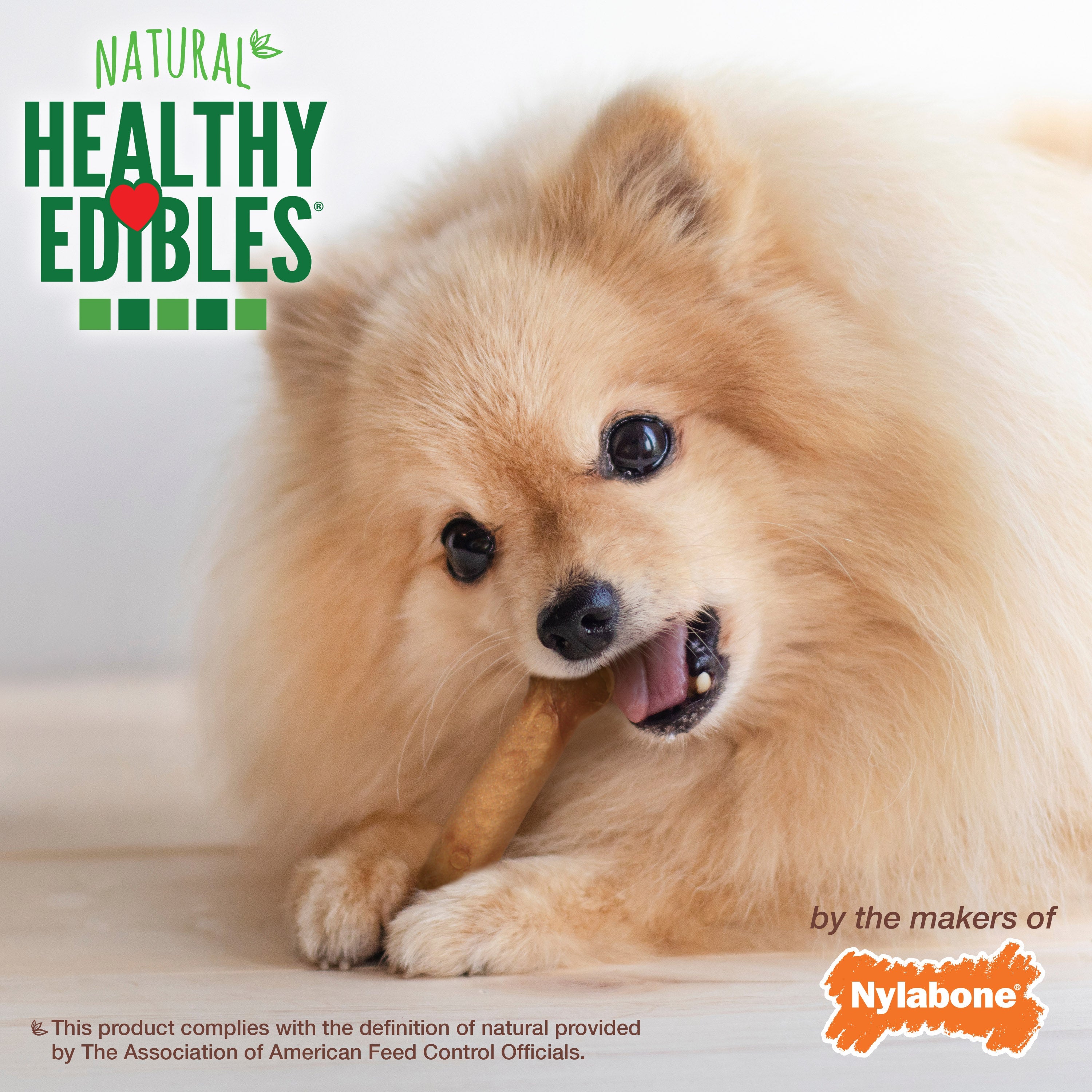 Nylabone Healthy Edibles AllNatural Long Lasting Roast Beef and Chicken Dog Chew Treats Roast Beef Chicken, XS/Petite Up To 15 Lbs. 48 ct