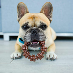 Nylabone Power Chew Textured Dog Ring Toy Flavor Medley, 1ea/SMall/Regular Up To 25 Ibs. 1 ct