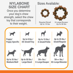 Nylabone Power Chew Textured Dog Ring Toy Flavor Medley, 1ea/SMall/Regular Up To 25 Ibs. 1 ct