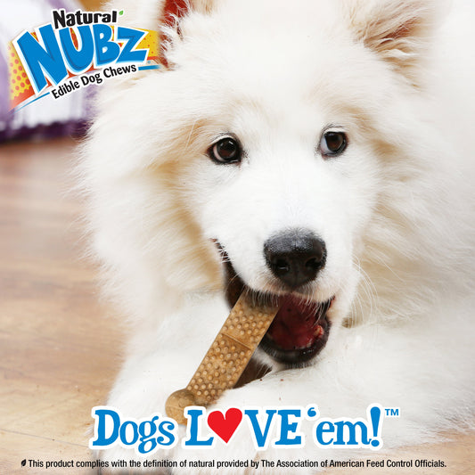 Nylabone Natural Nubz Dog Treats, AllergenFree Peanut Butter Peanut Butter, Large 30 Lbs. 15 ct