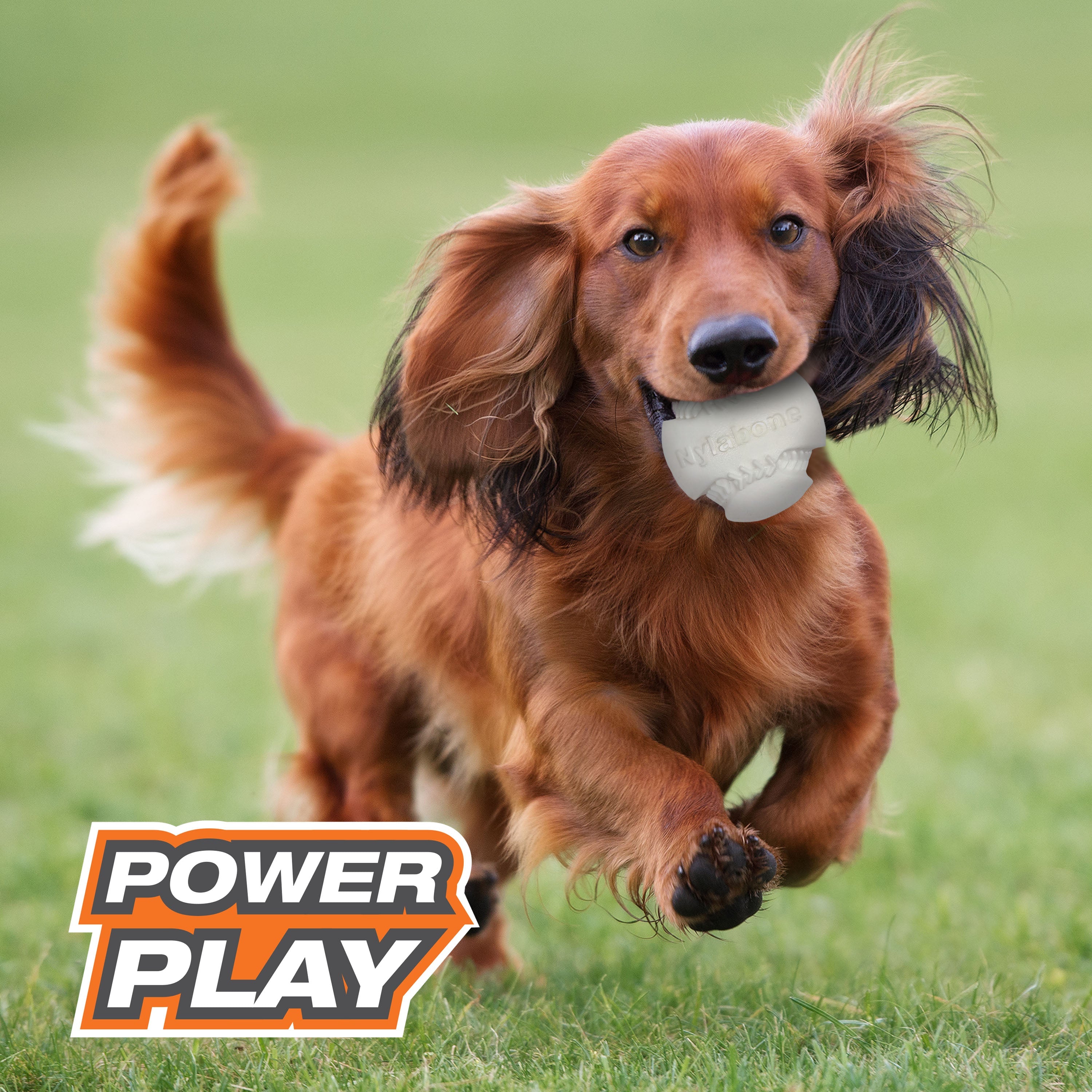 Nylabone Power Play Dog Baseball Gripz 1ea/Medium/Wolf - Up To 35 lb