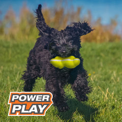 Nylabone Power Play Tennis Teddy Gripz Bear Dog Toy 1ea/Medium/Wolf - Up To 35 lb