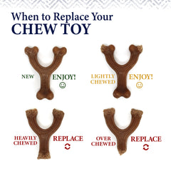 Nylabone Gourmet Style Strong Chew Wishbone Dog Chew Toy Chicken, 1ea/Large/Giant Up To 50 Lbs. 1 ct