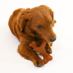 Nylabone Gourmet Style Strong Wishbone Dog Chew Toy Bacon 1ea/SMall/Regular - Up To 25 Ibs.