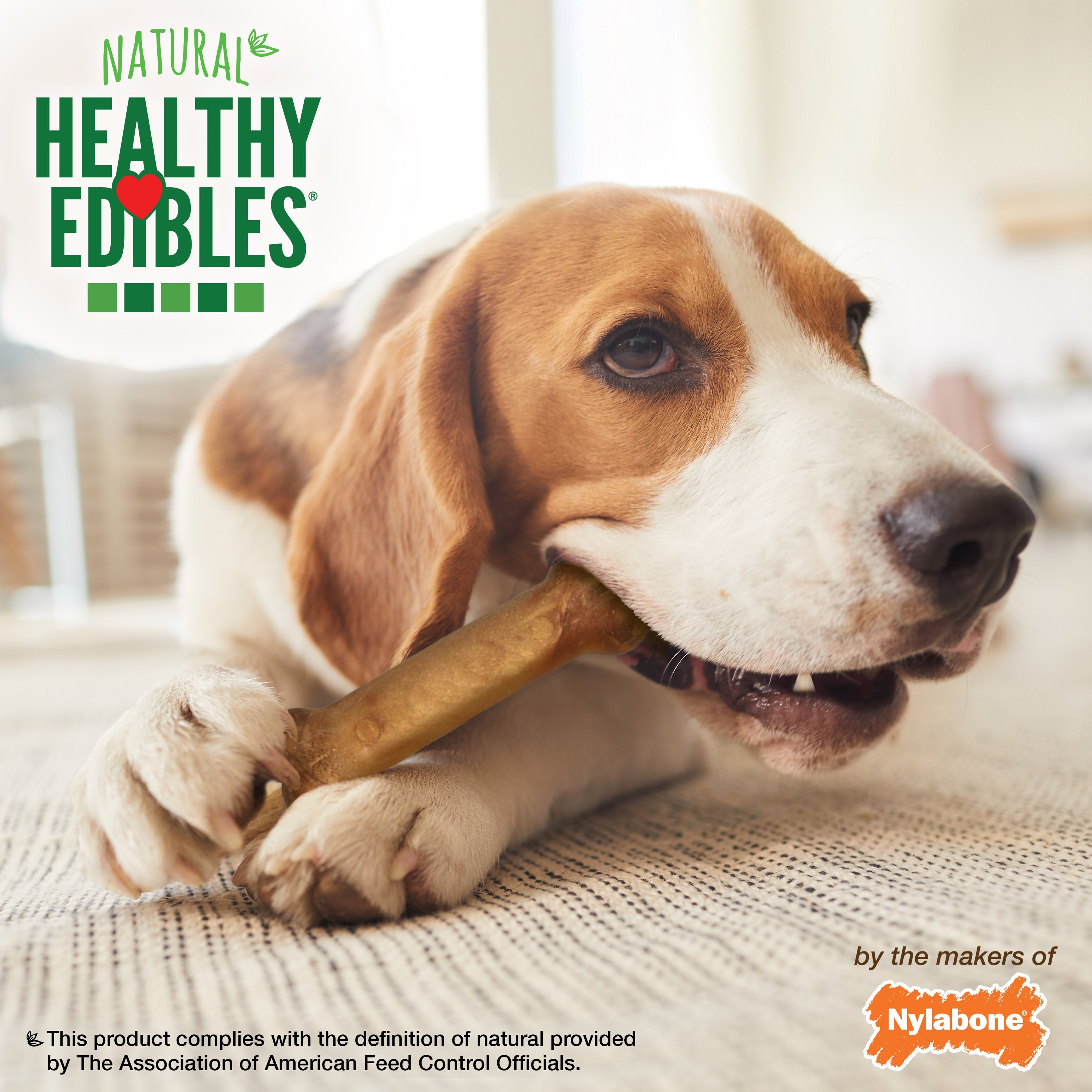 Nylabone Healthy Edibles AllNatural Long Lasting Bacon Chew Treats Bacon, Medium/Wolf Up To 35 Lbs. 12 ct
