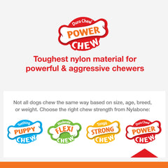 Nylabone Power Chew Broccoli Dog Toy Bacon Cheese, 1ea/Large/Giant Up To 50 Lbs. 1 ct