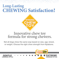 Nylabone Gourmet Style Strong Femur Puppy Chew Toy Bacon 1ea/SMall/Regular - Up To 25 Ibs.