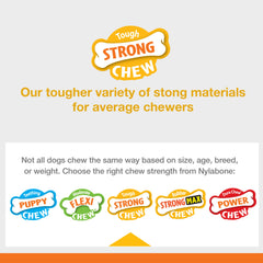 Nylabone Sneaky Snacker Dog Treat Toy Bacon, Orange, 1ea/Medium/Wolf Up To 35 Lbs. 1 ct