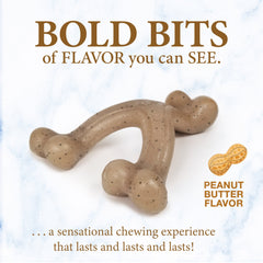 Nylabone Gourmet Style Strong Wishbone Puppy Chew Toy Peanut Butter, 1ea/SMall/Regular Up To 25 Ibs. 1 ct