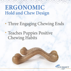 Nylabone Gourmet Style Strong Wishbone Puppy Chew Toy Peanut Butter, 1ea/SMall/Regular Up To 25 Ibs. 1 ct