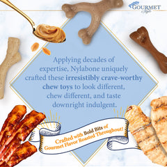 Nylabone Gourmet Style Strong Wishbone Puppy Chew Toy Peanut Butter, 1ea/SMall/Regular Up To 25 Ibs. 1 ct