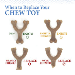 Nylabone Gourmet Style Strong Wishbone Puppy Chew Toy Peanut Butter, 1ea/SMall/Regular Up To 25 Ibs. 1 ct
