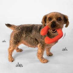 Nylabone Creative Play CShuu Dog Chase Toy Red, 1ea/SMall/Regular Up To 25 Ibs. 1 ct
