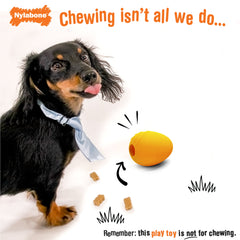 Nylabone Creative Play Eggi Dog Treat Toy Orange, 1ea/SMall/Regular Up To 25 Ibs. 1 ct