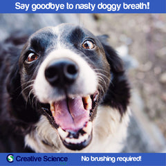 Breathalyer 250 mL