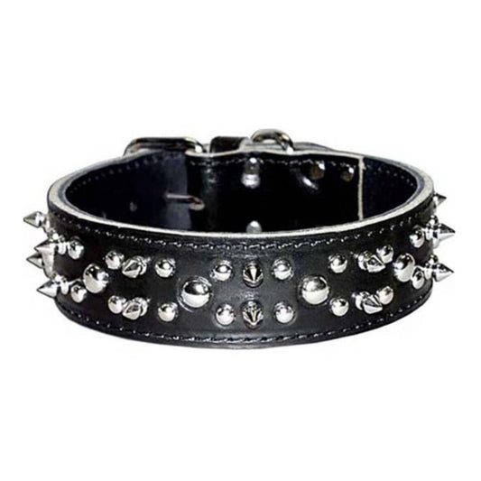Omni Pet Latigo Leather Spike/Stud Dog Collar Black 1.75 x 22in.
