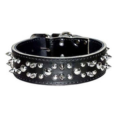 Omni Pet Latigo Leather Spike/Stud Dog Collar Black 1.75 x 22in.