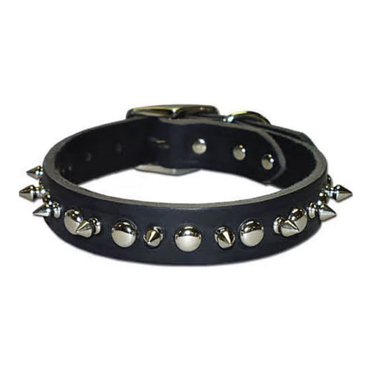 Omni Pet Latigo Leather 1 Ply Spiked Dog Collar Black 1/2 x 14in.