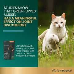 Vetriscience Cat Ultimate Strength Healthy Hip & Joint Chews Creamy Chicken Flavor - 30 Count
