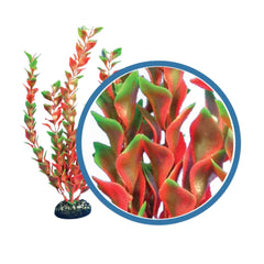 Weco Products Freshwater Pro Series Ludwigia Aquarium Plant Red, 1ea/12 in