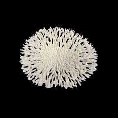 Weco Products South Pacific Coral Round Tabletop Ornament White, 1ea/LG