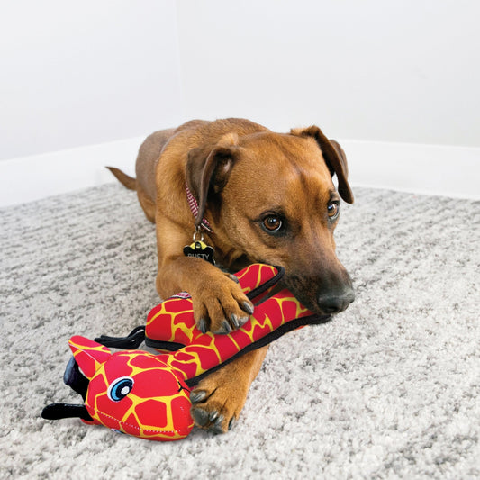 KONG Ballistic Dog Toy Giraffe, 1ea/MD/LG