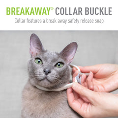Adams Plus Flea & Tick Collar for Cats & Kittens