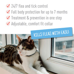 Adams Plus Flea Tick Collar for Cats 1ea/1 pk