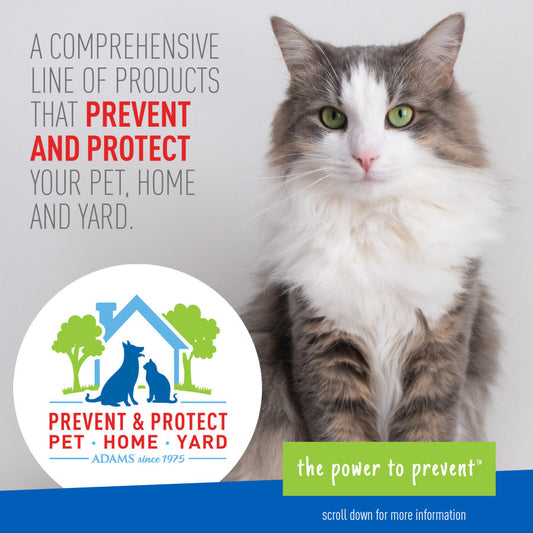 Adams Flea Tick Carpet Home Spray 1ea/16 oz