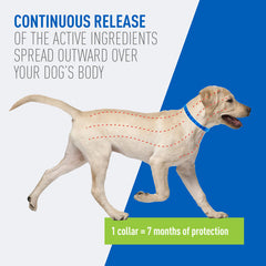 Adams Plus Flea & Tick Collar for Large Dogs