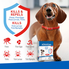 Adams Plus Flea & Tick Collar for Small Dogs