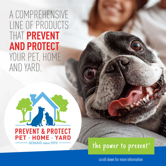 Adams Plus Flea Tick Collar for Dogs, Small 1ea/SMall