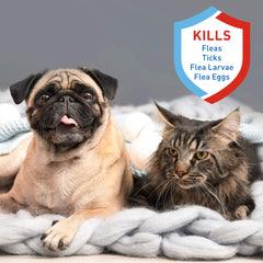Adams Flea Tick Dog and Cat Spray 1ea/32 fl oz