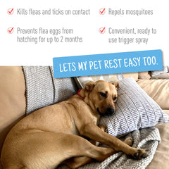 Adams Flea Tick Dog and Cat Spray 1ea/32 fl oz