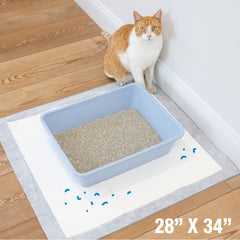 Four Paws Wee-Wee Cat Pads Fresh Scent, 1ea/28 in X 30 in (10 ct)