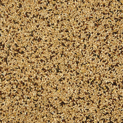 Kaytee Supreme Canary & Finch Food 1ea/20 lb