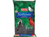 Kaytee Black Oil Sunflower 5 Pounds