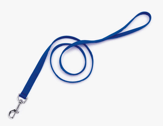 Coastal SinglePly Nylon Dog Leash Blue, 1ea/3/4 In X 4 ft