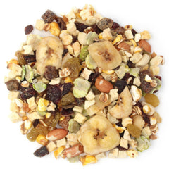 Sun Seed Fantasy Fruit Mix Cockatiel and Lovebird Treat 1ea/11oz.