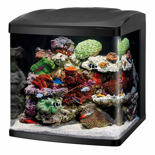 Coralife LED BioCube 32 Aquarium Kit 20.25″ x 21.875″ x 21.5″ – 100530107
