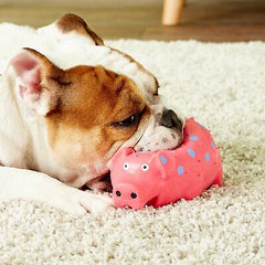 Multipet Pigs That Oink Dog Toy Assorted 9 in