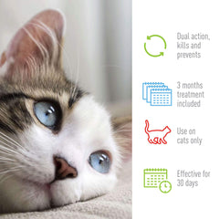 Adams Plus Flea Tick Spot On for Cats 1ea/Over 5 lb