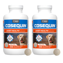 Cosequin Maximum Strength Joint Support with MSM Chewable Tablet, 250 ct, 2pk