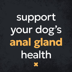 Nutramax Filaquin Anal Gland Supplement for Dogs, From the Makers of Proviable, with a Fiber Blend, Prebiotics, and Postbiotics for Digestive Health Support, 90 Count Soft Chews