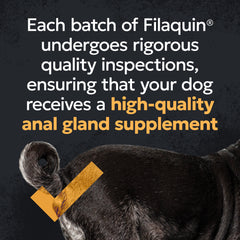 Nutramax Filaquin Anal Gland Supplement for Dogs, From the Makers of Proviable, with a Fiber Blend, Prebiotics, and Postbiotics for Digestive Health Support, 90 Count Soft Chews